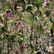 ヒメ日記 2025/04/10 06:00 投稿 すみれ チェックイン横浜女学園