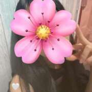 ヒメ日記 2025/08/19 11:12 投稿 すみれ チェックイン横浜女学園