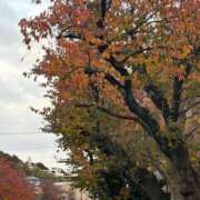 ヒメ日記 2025/11/30 18:39 投稿 すみれ チェックイン横浜女学園