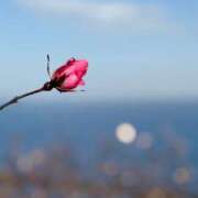 ヒメ日記 2025/12/07 17:06 投稿 すみれ チェックイン横浜女学園