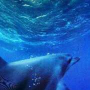 ヒメ日記 2026/02/26 17:36 投稿 すみれ チェックイン横浜女学園