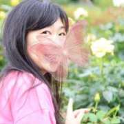 ヒメ日記 2025/08/17 08:57 投稿 すみれ GODZUMA（ゴッヅマ）