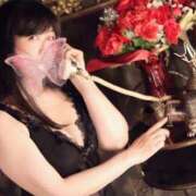 ヒメ日記 2025/11/29 11:33 投稿 すみれ GODZUMA（ゴッヅマ）