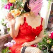 ヒメ日記 2025/12/23 18:40 投稿 すみれ GODZUMA（ゴッヅマ）