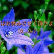 ヒメ日記 2024/12/12 18:21 投稿 (コスパ)柴田こう/地元出身 風俗イキタイいわき店