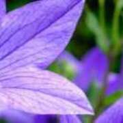 ヒメ日記 2025/07/01 09:48 投稿 (コスパ)柴田こう/地元出身 風俗イキタイいわき店