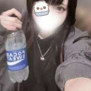 ヒメ日記 2025/02/28 12:46 投稿 あいる コンカフェ×オナクラ あいこねくと