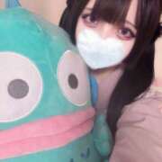 ヒメ日記 2025/04/15 19:01 投稿 あいる コンカフェ×オナクラ あいこねくと