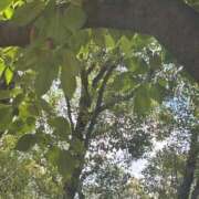 ヒメ日記 2025/07/26 01:20 投稿 あいる コンカフェ×オナクラ あいこねくと