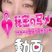 ヒメ日記 2025/04/08 10:22 投稿 ゆか 山口下関ちゃんこ