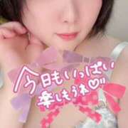 ヒメ日記 2025/04/08 14:02 投稿 ゆか 山口下関ちゃんこ