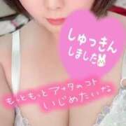 ヒメ日記 2025/04/10 12:04 投稿 ゆか 山口下関ちゃんこ