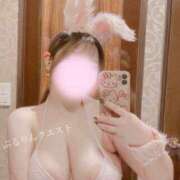 ヒメ日記 2025/04/29 13:12 投稿 らん ぷるりんクエスト上野浅草鶯谷秋葉原デリヘル王国