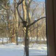 ヒメ日記 2025/02/25 12:32 投稿 りお 横浜回春性感マッサージ倶楽部