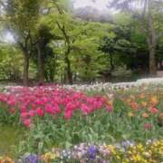 ヒメ日記 2025/04/25 17:17 投稿 りお 横浜回春性感マッサージ倶楽部