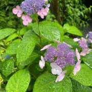 ヒメ日記 2025/06/11 22:47 投稿 りお 横浜回春性感マッサージ倶楽部