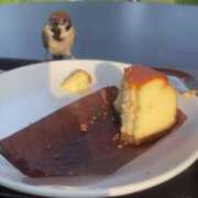 ヒメ日記 2025/06/30 13:17 投稿 りお 横浜回春性感マッサージ倶楽部