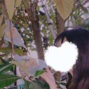 ヒメ日記 2025/07/06 13:07 投稿 りお 横浜回春性感マッサージ倶楽部