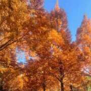 ヒメ日記 2025/11/28 18:17 投稿 りお 横浜回春性感マッサージ倶楽部