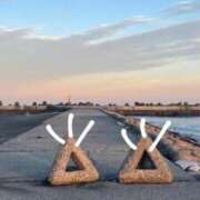 ヒメ日記 2026/01/18 01:27 投稿 りお 横浜回春性感マッサージ倶楽部