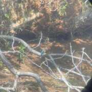 りお 発見🐦 横浜回春性感マッサージ倶楽部