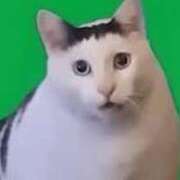 ヒメ日記 2025/02/25 15:28 投稿 リノ【新人】【宮崎っ子】 Alice