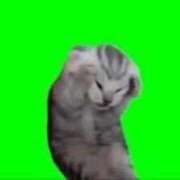 ヒメ日記 2025/02/27 20:38 投稿 リノ【新人】【宮崎っ子】 Alice