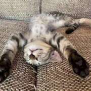 みずほ かむさはむにだ‪🐹♡ ZERO