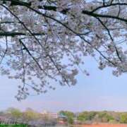 ヒメ日記 2025/04/07 02:12 投稿 らむね 池袋サンキュー