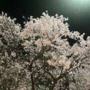 ヒメ日記 2025/04/04 20:57 投稿 わか ダンシングおっぱいTEAM爆