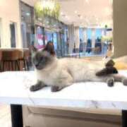 ヒメ日記 2025/09/01 21:47 投稿 わか ダンシングおっぱいTEAM爆