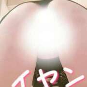 ヒメ日記 2025/03/30 15:02 投稿 めぐ エマニエル