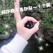 ヒメ日記 2025/04/10 19:42 投稿 めぐ エマニエル