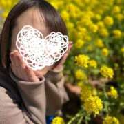 ヒメ日記 2025/03/14 21:55 投稿 やよ 池袋ぱんぷきん（シンデレラグループ）