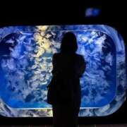 ヒメ日記 2025/04/22 07:01 投稿 やよ 池袋ぱんぷきん（シンデレラグループ）