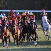 ヒメ日記 2024/12/23 13:08 投稿 すざく One More 奥様　池袋店