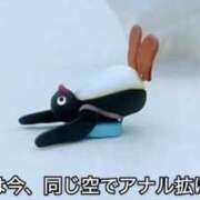 ヒメ日記 2025/06/08 13:08 投稿 すざく One More 奥様　池袋店