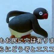 ヒメ日記 2025/11/23 13:18 投稿 すざく One More 奥様　池袋店