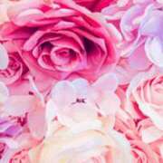 ヒメ日記 2025/03/19 21:57 投稿 せり 出逢い