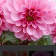 ヒメ日記 2025/03/25 19:27 投稿 せり 出逢い