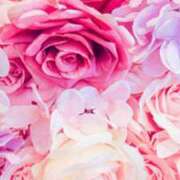 ヒメ日記 2025/03/30 17:37 投稿 せり 出逢い