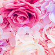 ヒメ日記 2025/04/20 20:47 投稿 せり 出逢い