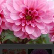 ヒメ日記 2025/05/11 21:37 投稿 せり 出逢い