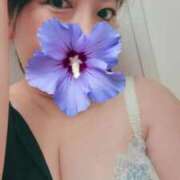 ヒメ日記 2025/09/04 23:11 投稿 ちか 即アポマダム～名古屋店～