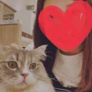 ヒメ日記 2024/12/26 23:51 投稿 ちか 即アポ奥さん〜名古屋店〜