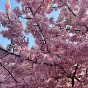 ヒメ日記 2025/03/24 12:10 投稿 ちか 即アポ奥さん〜名古屋店〜