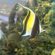 ヒメ日記 2025/03/20 09:21 投稿 笹木 のぞみ RAO-ラオウ-