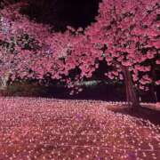 ヒメ日記 2026/04/02 18:26 投稿 成瀬 熟女の風俗最終章 新横浜店