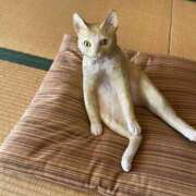 ヒメ日記 2025/03/19 14:07 投稿 八乙女あまね ハプニング痴漢電車or全裸入室