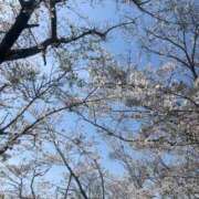 ヒメ日記 2025/05/16 23:27 投稿 八乙女あまね ハプニング痴漢電車or全裸入室